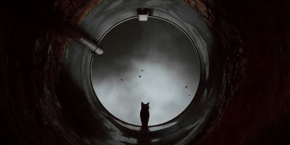 Stray Game