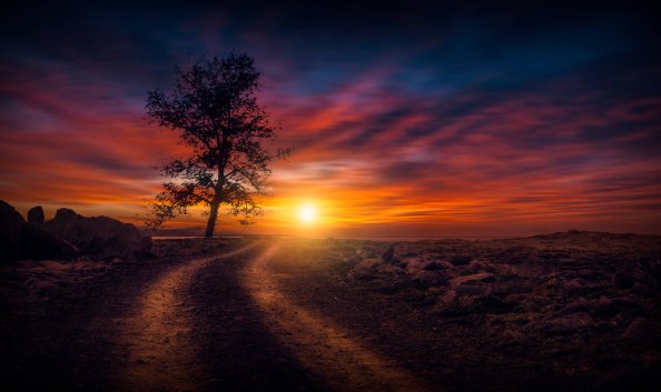Beautiful Sunset On Dirt Road