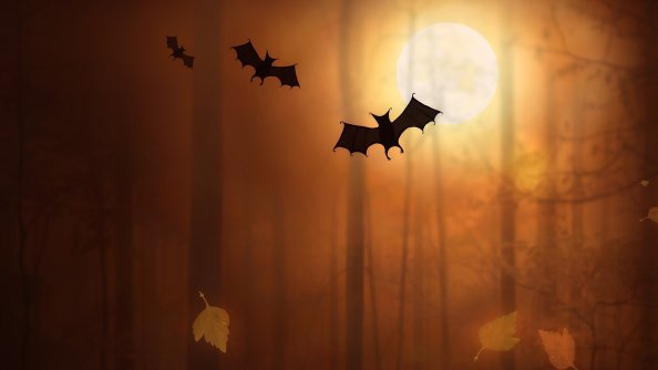 Bats Night Moon Trees Fallen Leaves