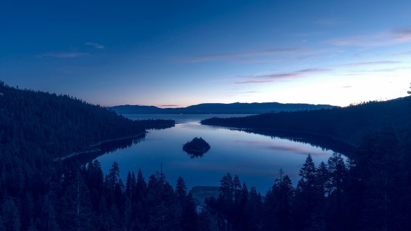 Blue Filtered Nature