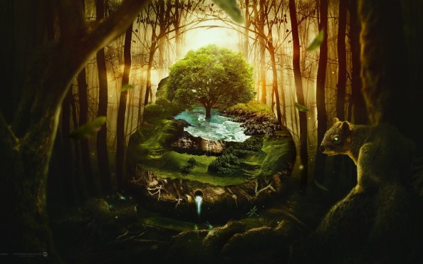 Jungle Wildlife