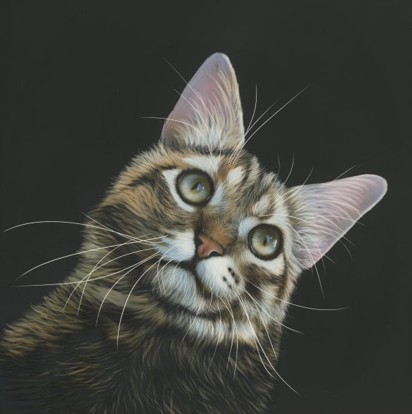 Cat Painting 4k