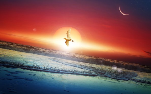 Moon Sun Art