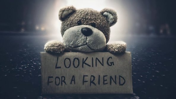 Teddy Bear Looking For A Friend