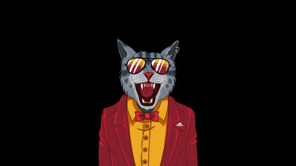 Cool Cat Minimal 4k