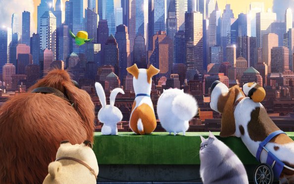 The Secrete Life of Pets Movie