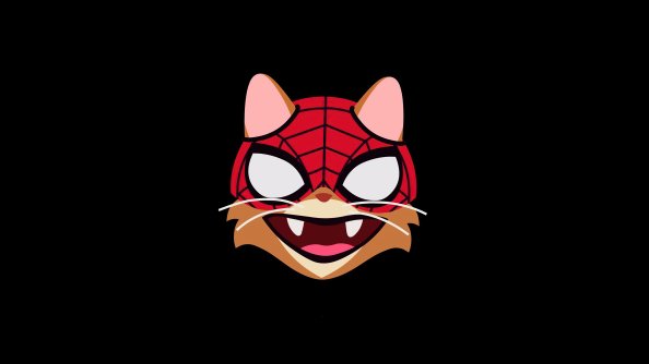 Cat Spiderman Minimal 4k