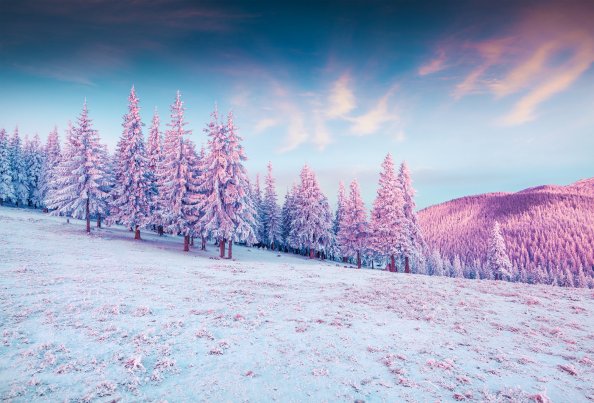 Trees Pink Colorful Cold Hills Snow 5k