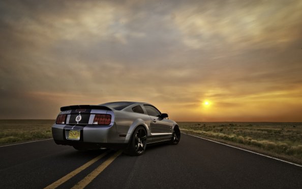 Ford Mustang Silver