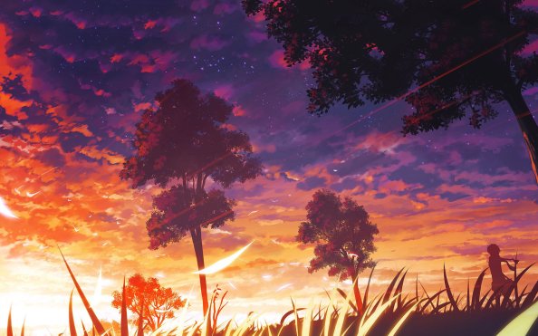 Beautiful Sunset Art