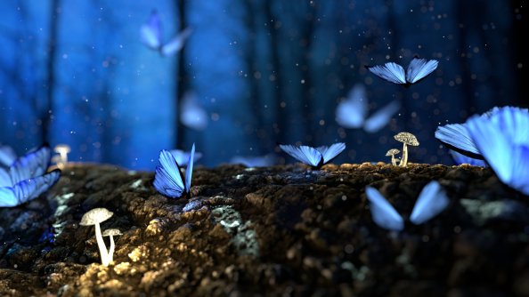 Butterfly Mushrooms Forest Fantasy