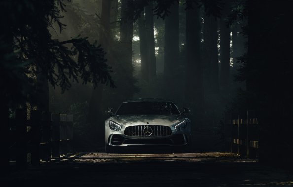 Mercedes Benz Amg GT Forest