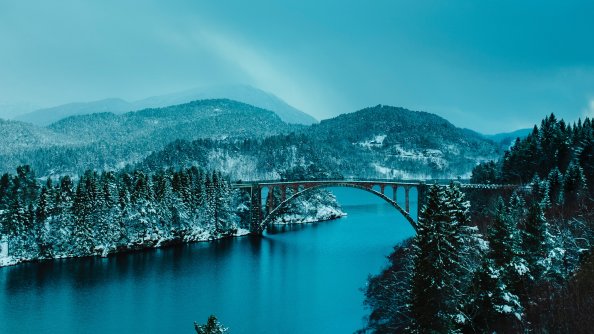 Beautiful Bridge Between Lake In Forest 4k