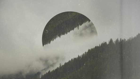 Forest Circle Photo Manipulation Digital Art