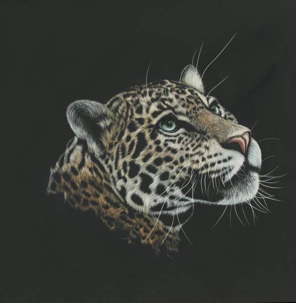 Leopard Painting 4k