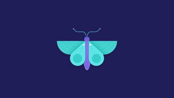 Butterfly Minimalism