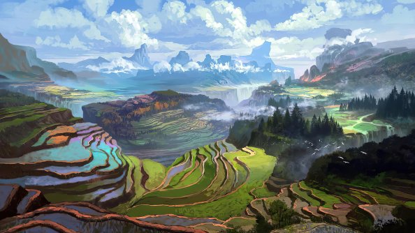 Rice Terrace 4k