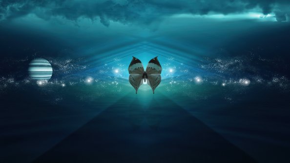 Butterfly Renaissance 4K