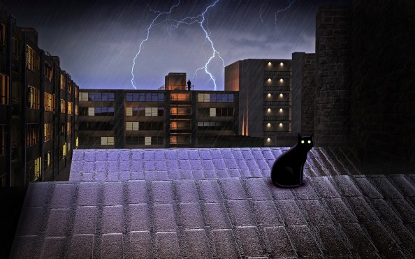 Black Cat On Rooftop Lightning 4k