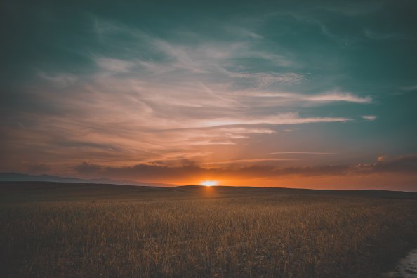 Field Sunrise 5k