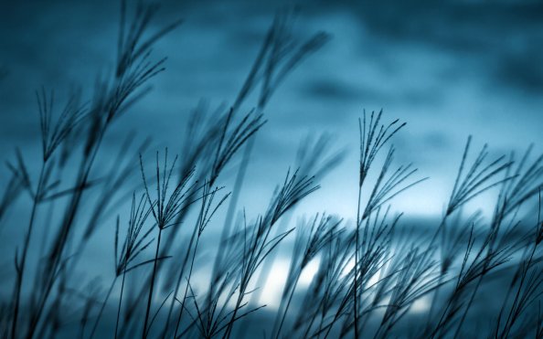 Cool Nature