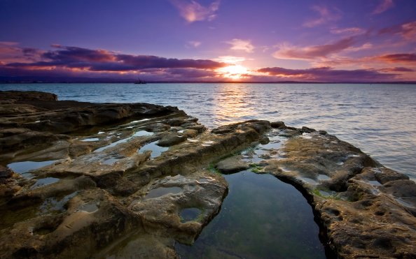 Auckland Sunset
