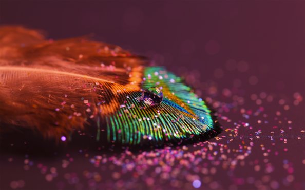 Feather Light