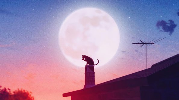Cat Roof Big Moon 4k