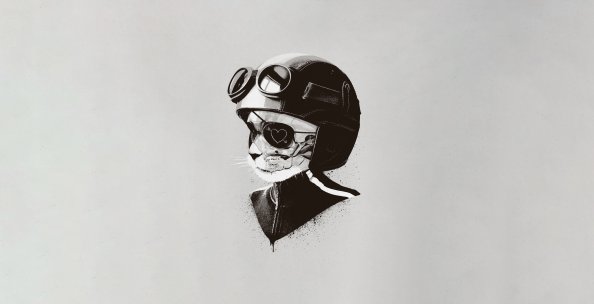 Cat Helmet Minimal Art 5k