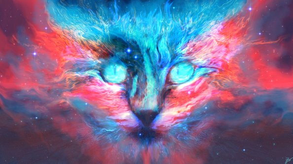 Into Dreams Cat