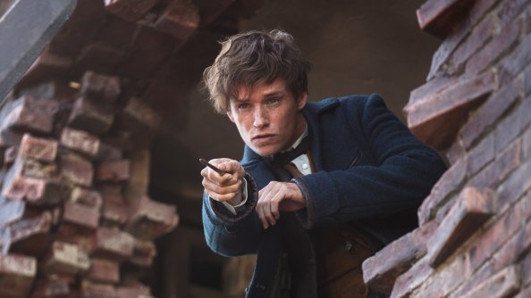 Eddie Redmayne In Fantastic Beasts 2016