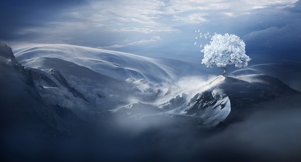 Birds Flying Over Snow Tree On Mountain Peak