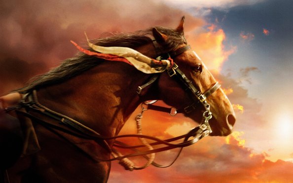 War Horse