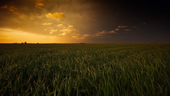 Breathtaking Sunset