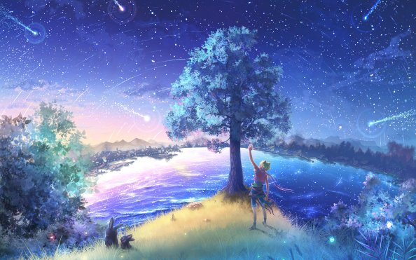 Tree Where Wishes Come True 4k