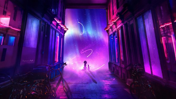 Dog Cat Looking At Shooting Stars 4k