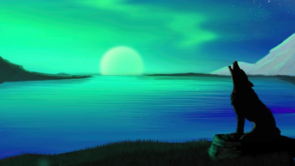 Northern Lights Fox Howling 4k