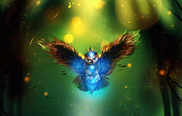 Owl Art 4k