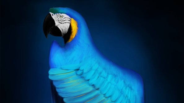 Macaw Digital Art