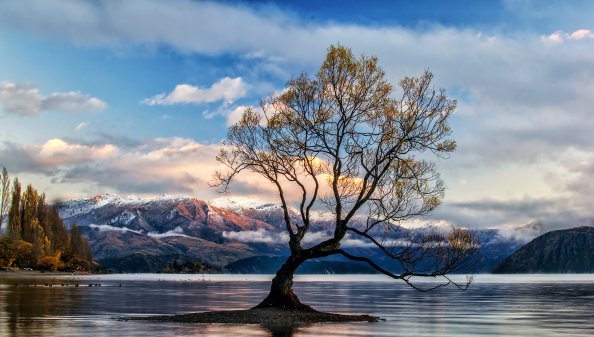 Lone Tree Lake Wanaka