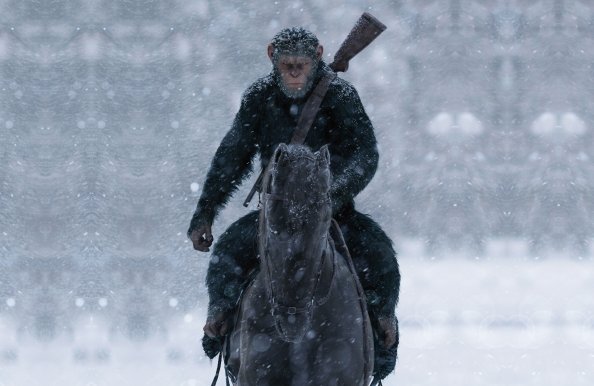 War For The Planet Of The Apes 5k Movie