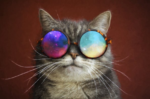 Cat Glasses Party Cool Painting