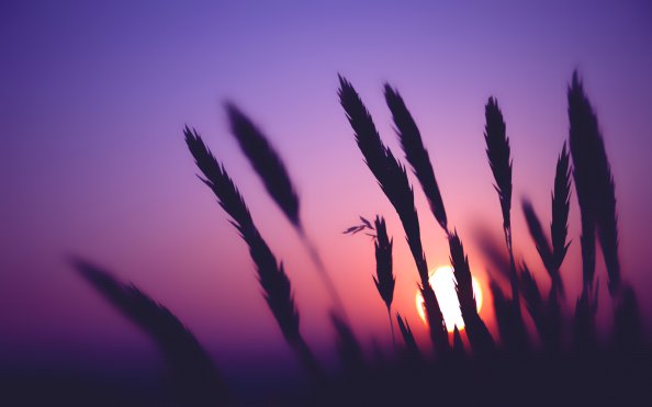 Sunset Time