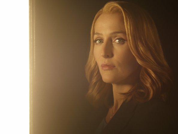 The X Files