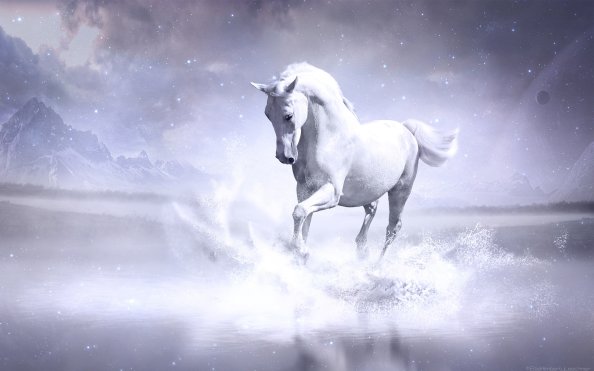 White Horse