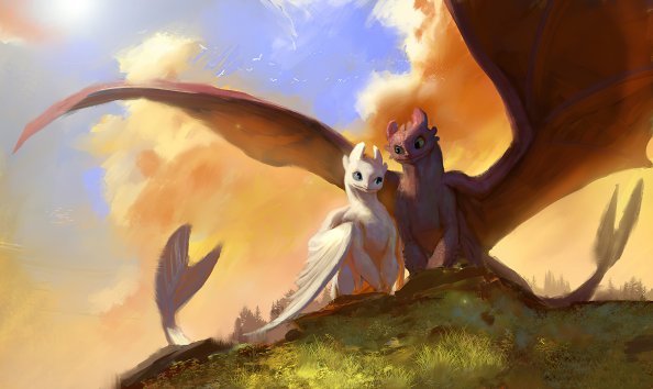 Toothless And Lightfury Fanart