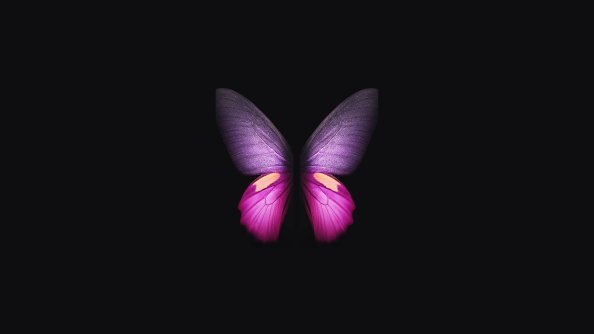 Samsung Galaxy Fold Butterfly