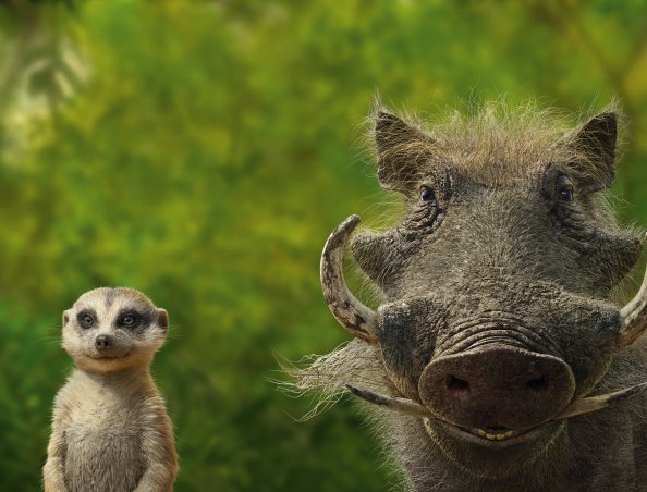 Timon And Pumbaa
