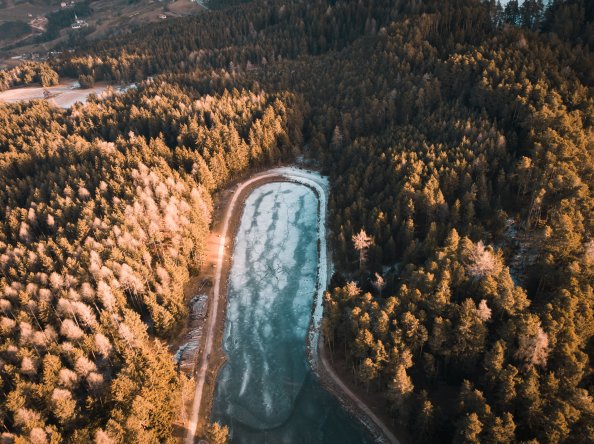 Aerial Photography Trees 4k