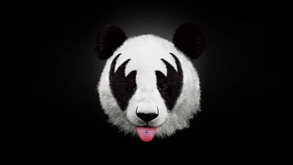 Panda 4k Artwork